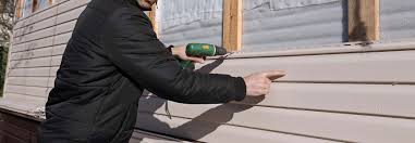 Best Siding Painting and Refinishing  in Albany, WI